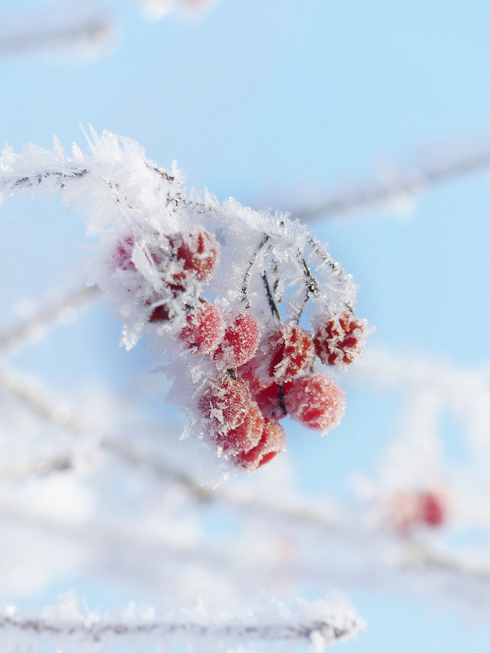 Read more about the article Quartalsplan Winter