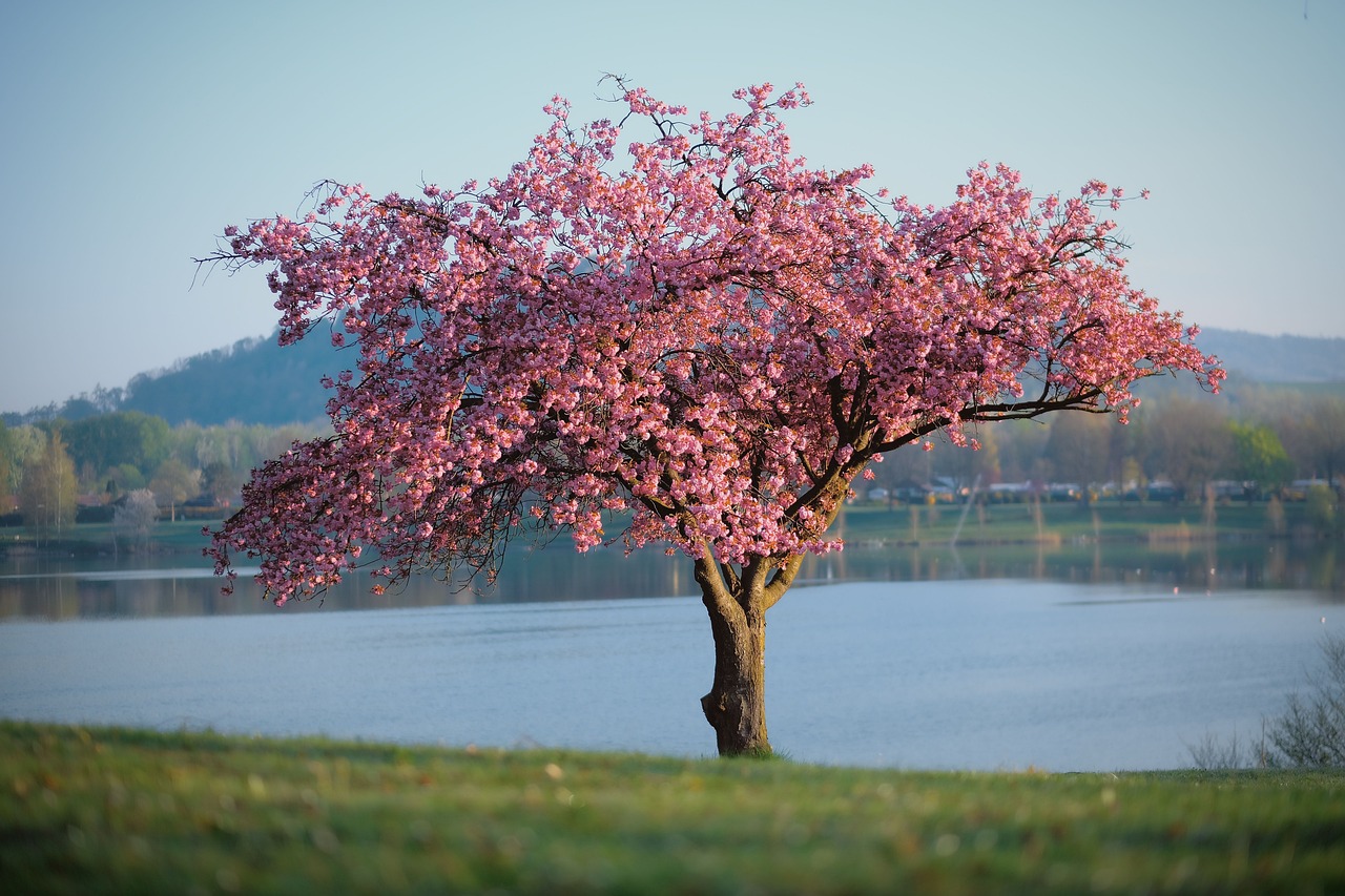 Read more about the article Quartalsplan Frühling