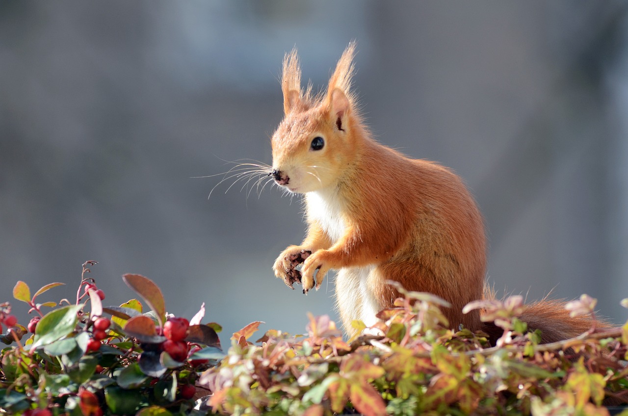 Read more about the article Quartalsplan Herbst