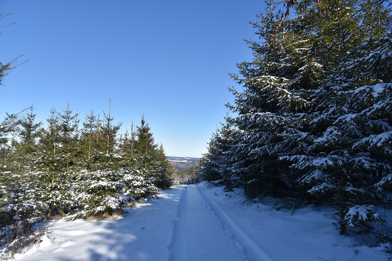 Read more about the article Center Parcs Hochsauerland 05.02. bis 10.02.