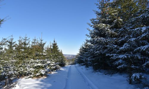 sauerland-6011850_1280